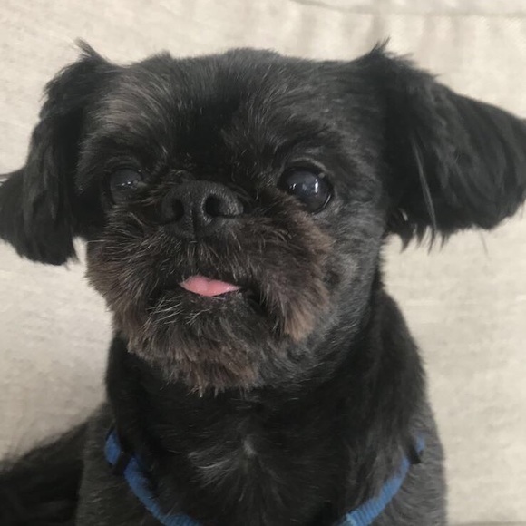 Meet your Posher, Pamela - Picture 1 of 1